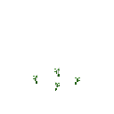 Growing cress