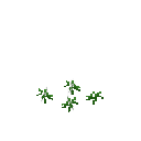 Growing cress