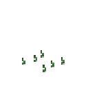 Growing garlic