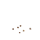 Цибуля (росте)