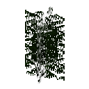 game:block-leavesnarrow-grown-cypress-3