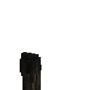 game:block-torch-basic-burnedout-south