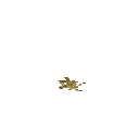 Гніздо