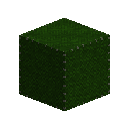 Dark green cloth