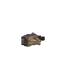 Мертвий заєць