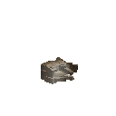 Мертвий заєць