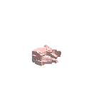 Мертвий заєць