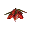 carryon:item-croton-medium-crimson-brown-green