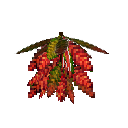 carryon:item-croton-medium-crimson-green-large