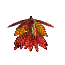 carryon:item-croton-medium-crimson-orange-large