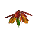 carryon:item-croton-medium-crimson-orange