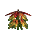 carryon:item-croton-medium-darkgreen-gold-crimson-large