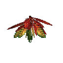 carryon:item-croton-medium-darkgreen-gold-crimson