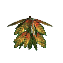 carryon:item-croton-medium-darkgreen-gold-large
