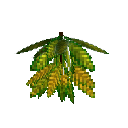 carryon:item-croton-medium-lemongreen-large