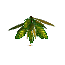 carryon:item-croton-medium-lemongreen
