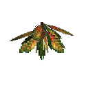 carryon:item-croton-small-darkgreen-gold