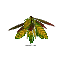 carryon:item-croton-small-lemongreen-crimson