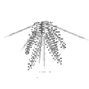 carryon:item-fern-deerfern