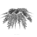 carryon:item-fern-eaglefern-large