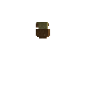carryon:item-mushroom-bolete-normal-south