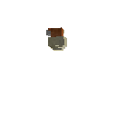 carryon:item-mushroom-devilbolete-normal-west