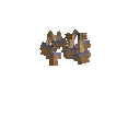 carryon:item-mushroom-libertycap-normal-large