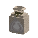 Garlic seeds