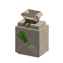 Leek seeds