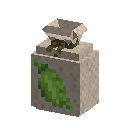 Pea seeds