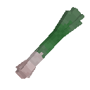 Leek