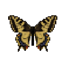 Мертвий Косатець Махаон (самець)
