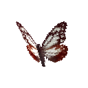 Каштановий тигр